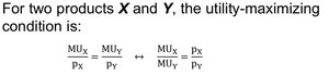 Utility-maximizing condition for two products
