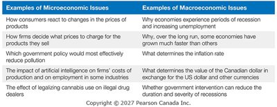 Table comparing microeconomic and macroeconomic issues