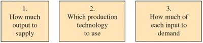 Three decisions all firms must make: output, technology, input demand