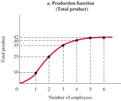 Graph of total product as a function of number of employees