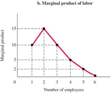Graph of marginal product of labor as a function of number of employees