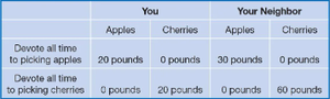 Production possibilities table for apples and cherries