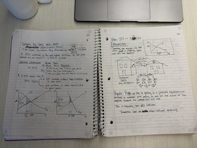 Externality diagrams showing social and private costs