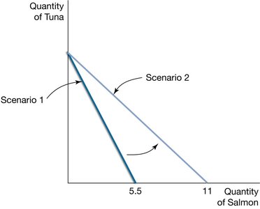Budget constraint for tuna and salmon