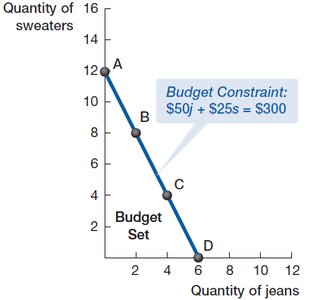 Budget constraint graph