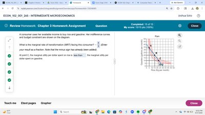 Indifference curve and budget constraint for rice and gasoline