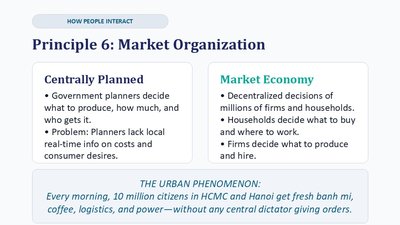 Market organization: planned vs. market economy