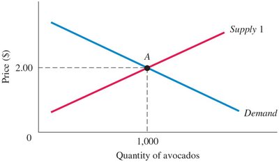 Original equilibrium in the avocado market