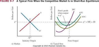 Short-run equilibrium in a competitive market and a typical firm