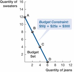 Four Bundles on the Budget Constraint