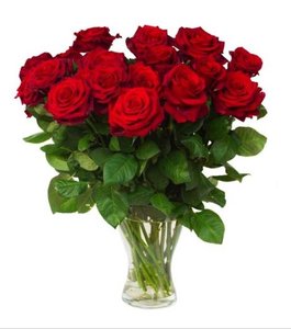 Bouquet of roses