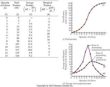 Table and graphs of total, average, and marginal product