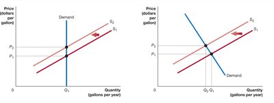 Comparison of inelastic and perfectly inelastic demand curves