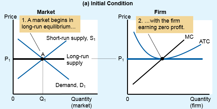 Initial condition: long-run equilibrium