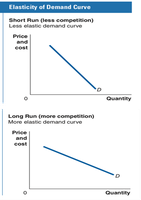 Elasticity of demand curve in short run and long run