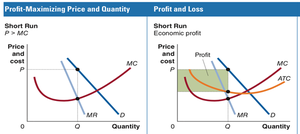 Profit-maximizing price and quantity, profit and loss in the short run