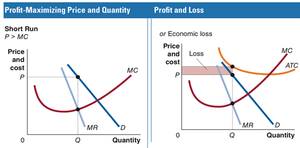 Profit-maximizing price and quantity, profit and loss in the short run (loss)