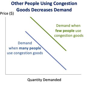 Congestion effects decrease demand