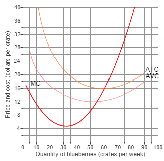 Blueberry farm cost curves