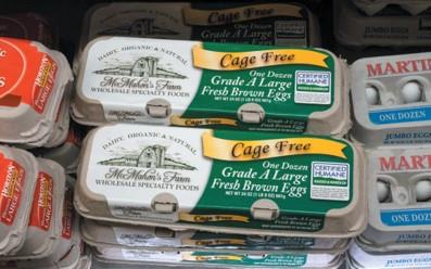 Cage-free eggs in the market