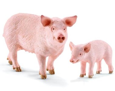 Pig and piglet