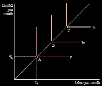 Isoquants for perfect complements