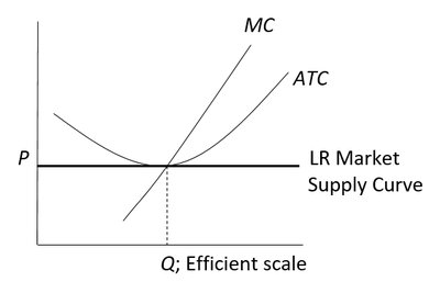 Long-run market supply curve at efficient scale