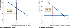 Graphs showing perfectly inelastic and perfectly elastic supply