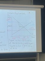 Perfectly inelastic demand curve
