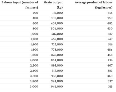 Table of labor input, grain output, and average product of labor