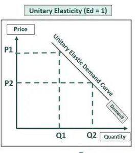Unitary elastic demand curve