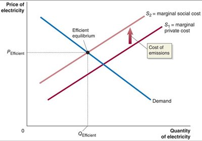 Negative externality: Marginal social cost and marginal private cost in electricity market