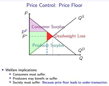 Price Floor Effects