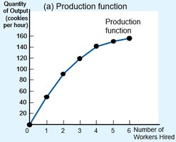 Production function graph