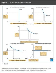 Graphical representation of different demand elasticities