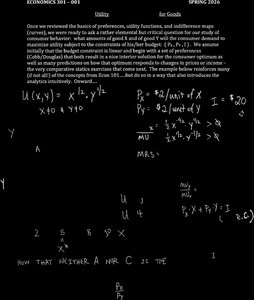 Utility maximization with budget constraint and marginal utility equations