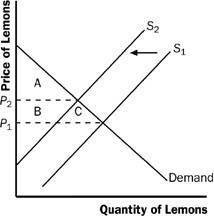 Demand Shift in French Bread Market