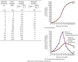 Table and graphs of total, average, and marginal product