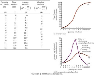 Table and graphs of total, average, and marginal product