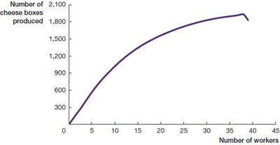 Short-run production function for cheese boxes
