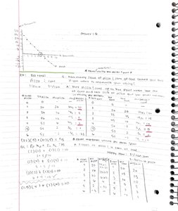 Cost curves and calculations
