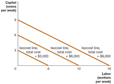 Multiple isocost lines for different total costs