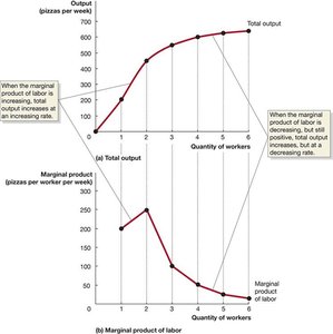 Graph showing total output and marginal product of labor