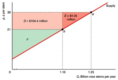 Table comparing consumer surplus loss for elastic and inelastic demand