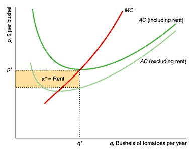 Graph showing rent in competitive equilibrium