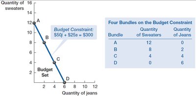Budget constraint and bundles
