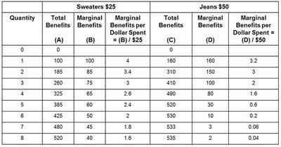 Consumer optimization problem
