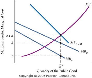 Optimal provision of a public good graph