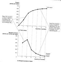 Total output and marginal product of labor graph