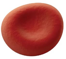 Red blood cell